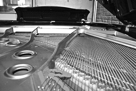 The Studio